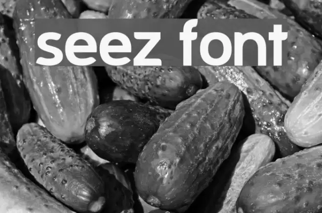 Seez  examples