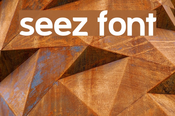 Seez Font examples
