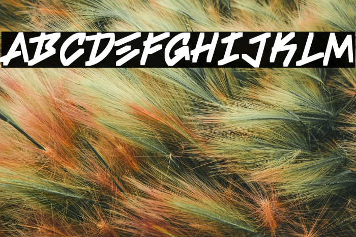 Sefa-Regular Example 1