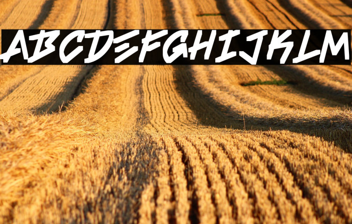 Sefa-Regular Example 2