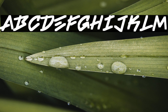 Sefa-Regular Example 3