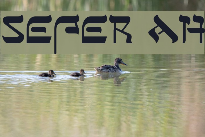 Sefer AH Font examples
