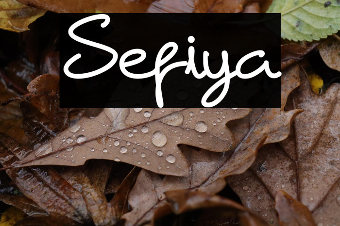 Sefiya Example 2