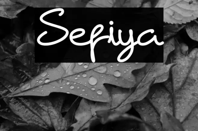 Sefiya Font examples