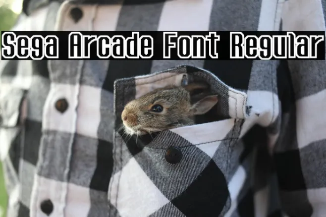 Sega Arcade Font Regular Example 1