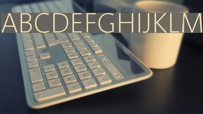 Segan Light Font examples