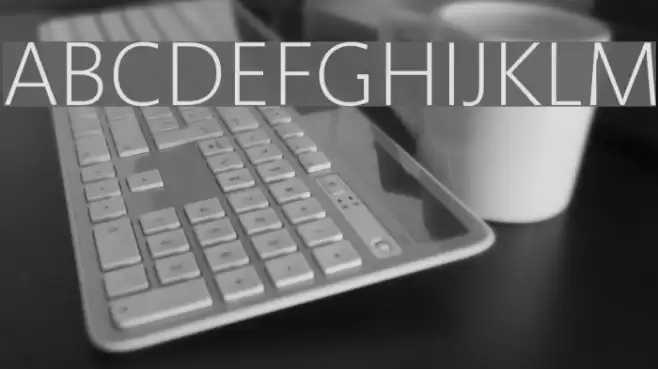 Segan Light フォント examples