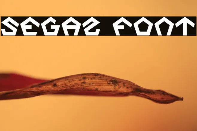 Segaz Example 1