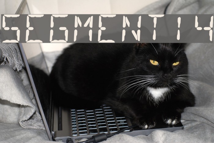 Segment14 Font examples