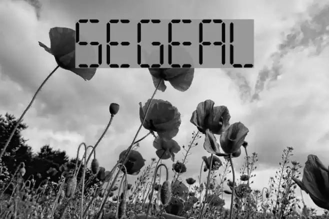 Segmental Font examples