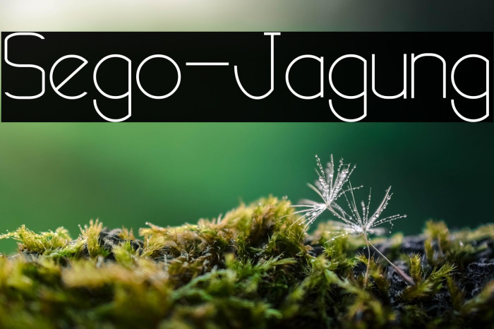 Sego-Jagung Example 3