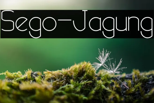 Sego-Jagung Example 3