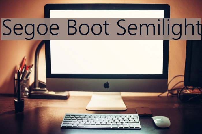 Segoe Boot Semilight Font examples