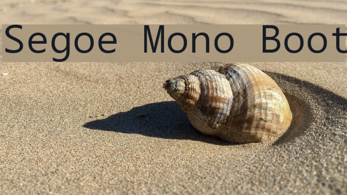 Segoe Mono Boot Font examples