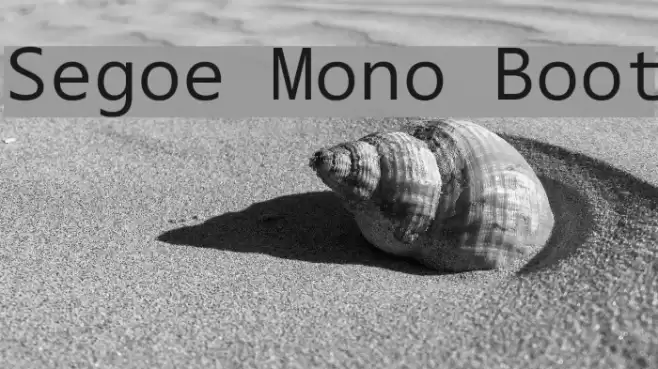 Segoe Mono Boot Font examples