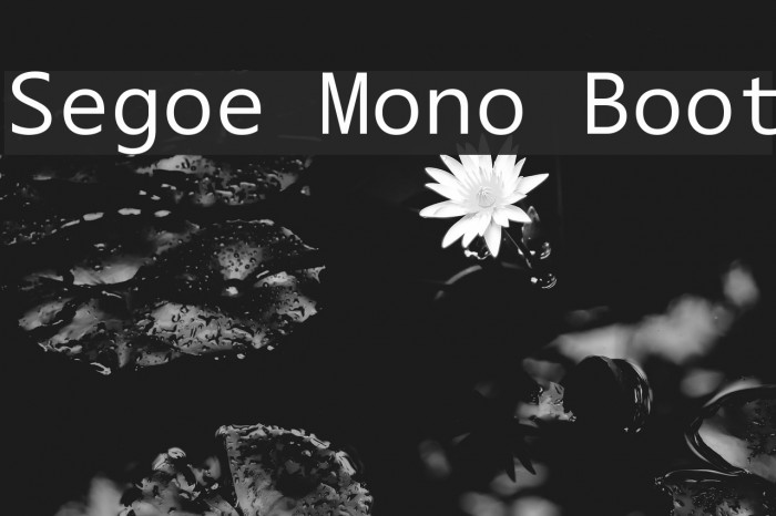 Segoe Mono Boot Font examples