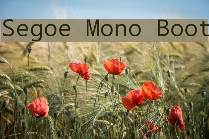 Segoe Mono Boot Font examples