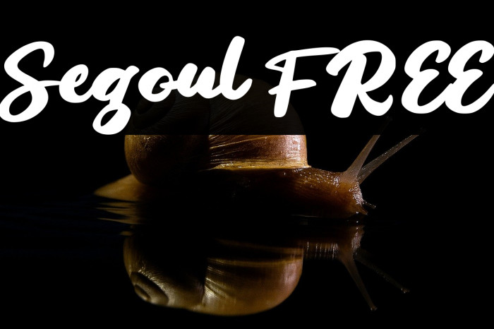 Segoul FREE Example 1