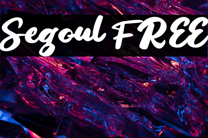 Segoul FREE Example 3