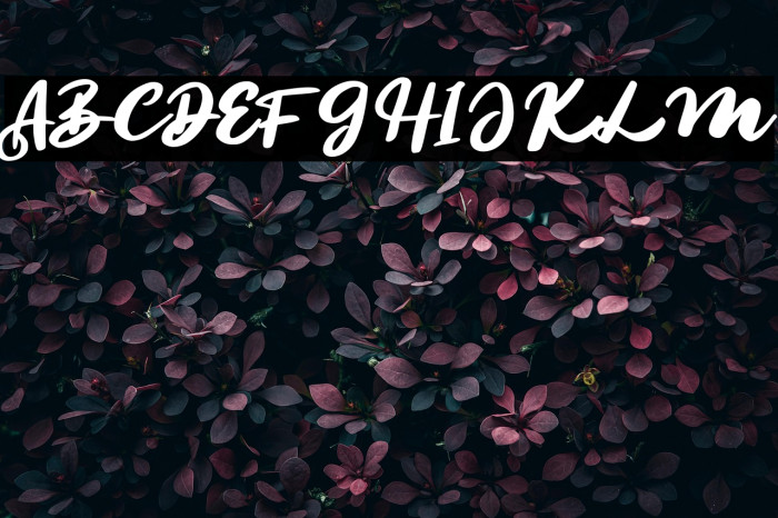 SegoulFREE Example 2