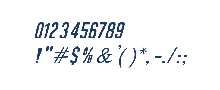 SeilsSans-Italic Other Characters