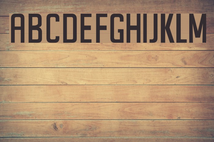SeilsSans Font examples