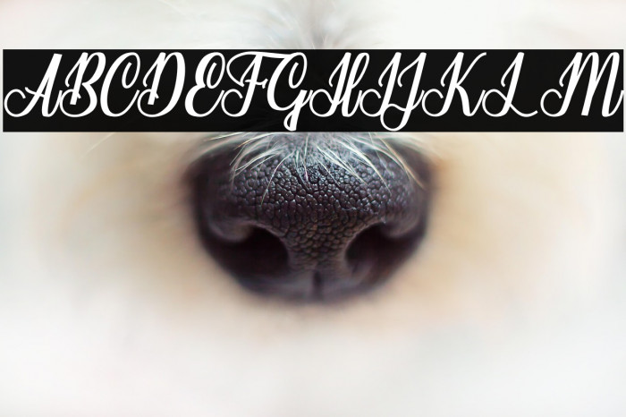 Seindah Cinttya Example 2