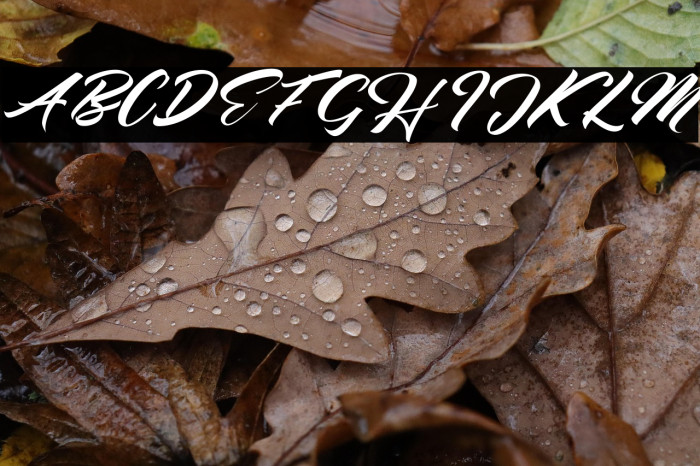 Seinna Grace Example 1