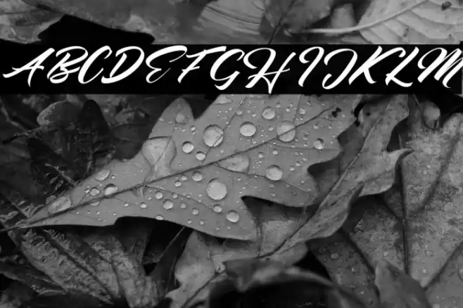 Seinna Grace Font examples