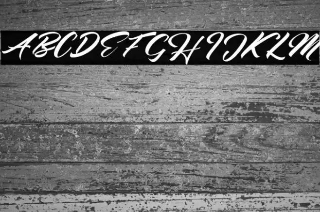 Seinna Grace Font examples