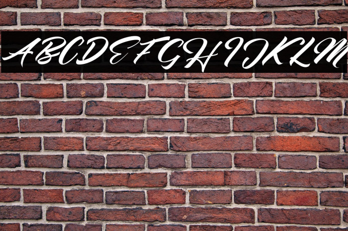 Seinna Grace Example 1