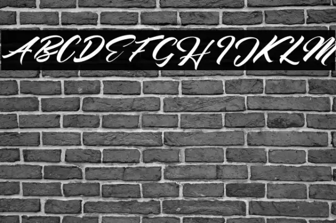 Seinna Grace Font examples