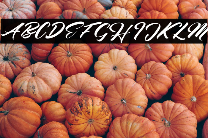 Seinna Grace Example 2