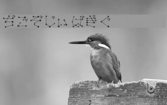 SeizaHir Font examples