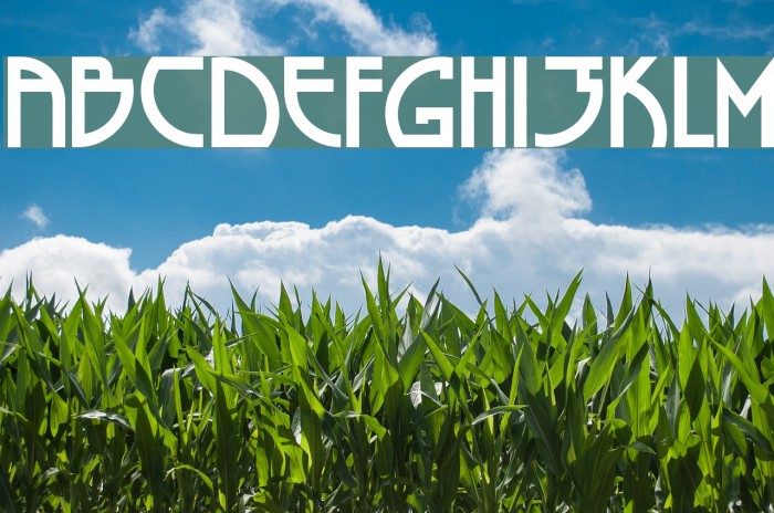 Seized Future A Font examples