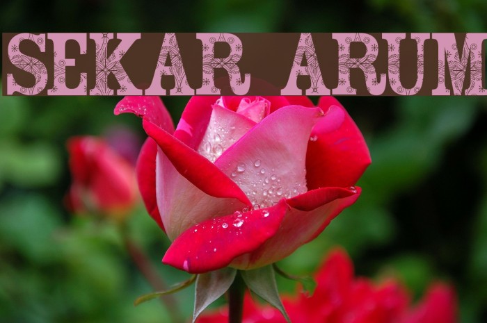 Sekar Arum Font examples