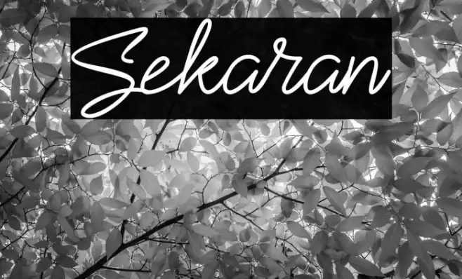 Sekaran Font examples
