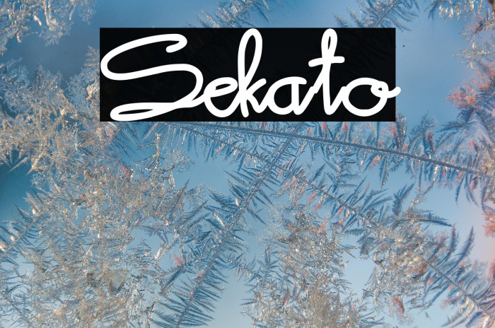 Sekato Example 2