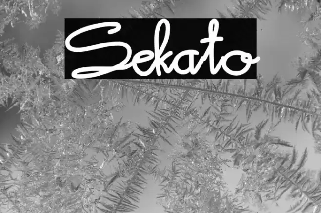 Sekato Font examples