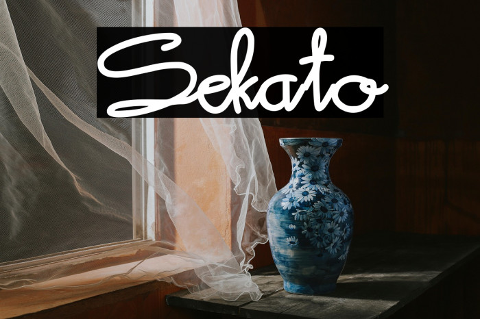 Sekato Example 3