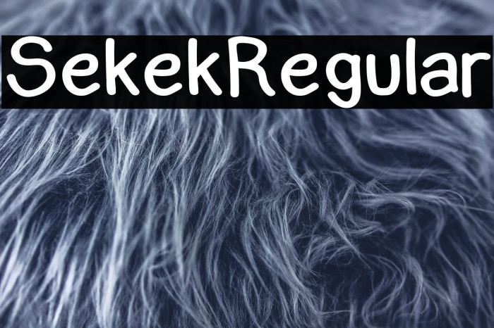 Sekek Regular Example 2