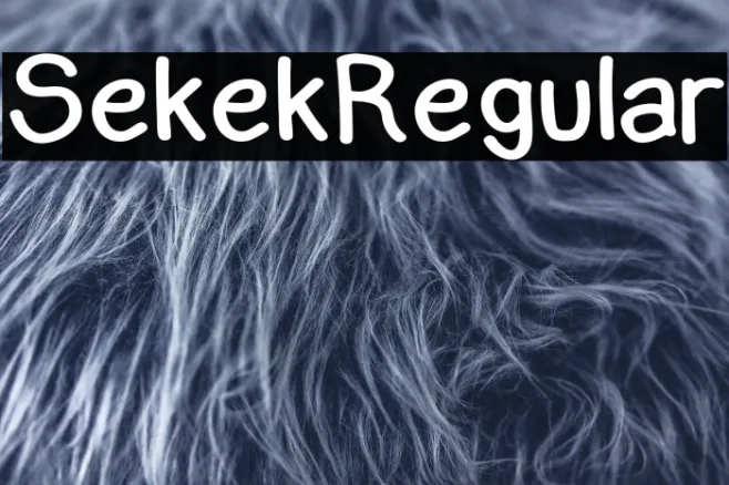 Sekek Regular Example 2