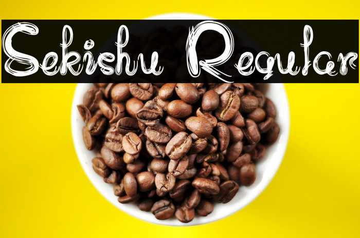 Sekishu Regular Example 1