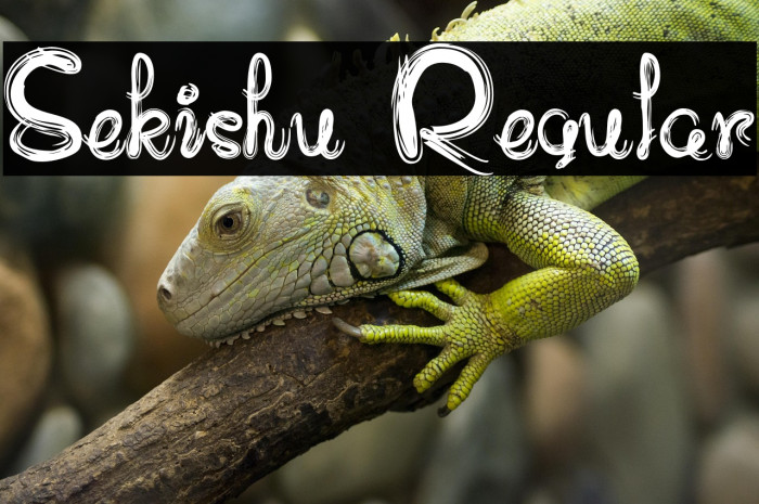 Sekishu Regular Example 2