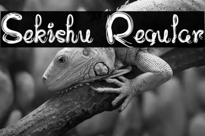 Sekishu Regular Fuentes examples