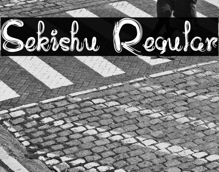 Sekishu Regular Example 3