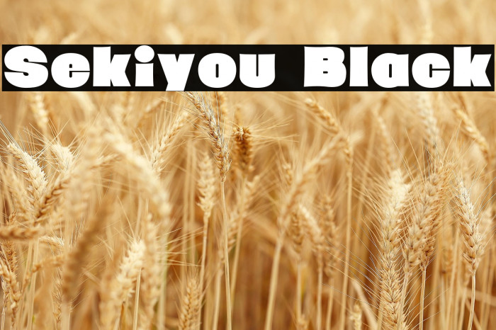 Sekiyou Black Example 1