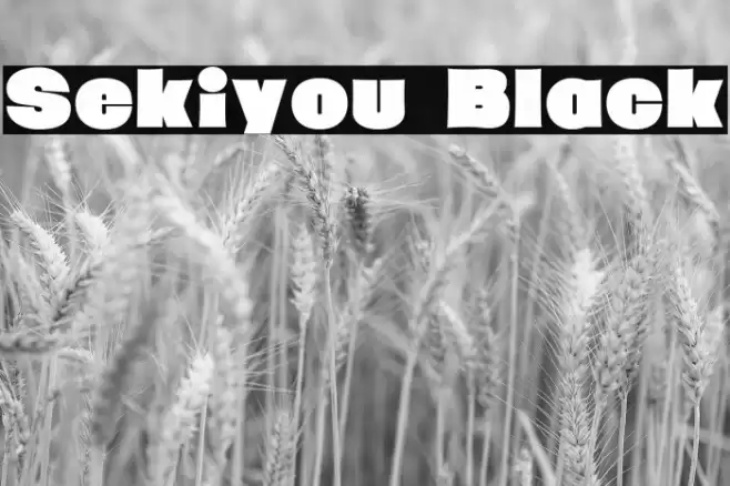 Sekiyou Black Font examples