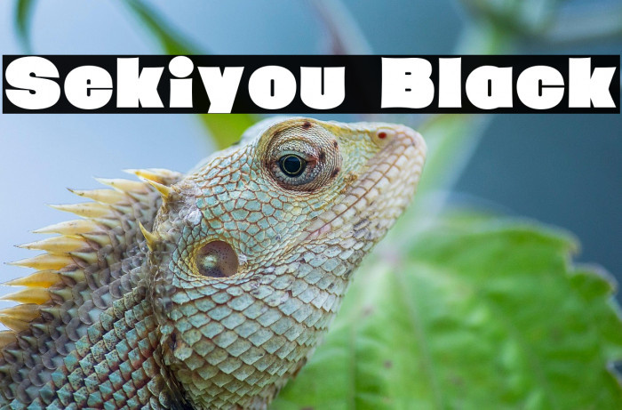 Sekiyou Black Example 2