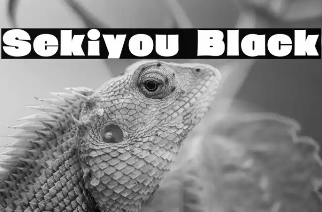 Sekiyou Black Font examples